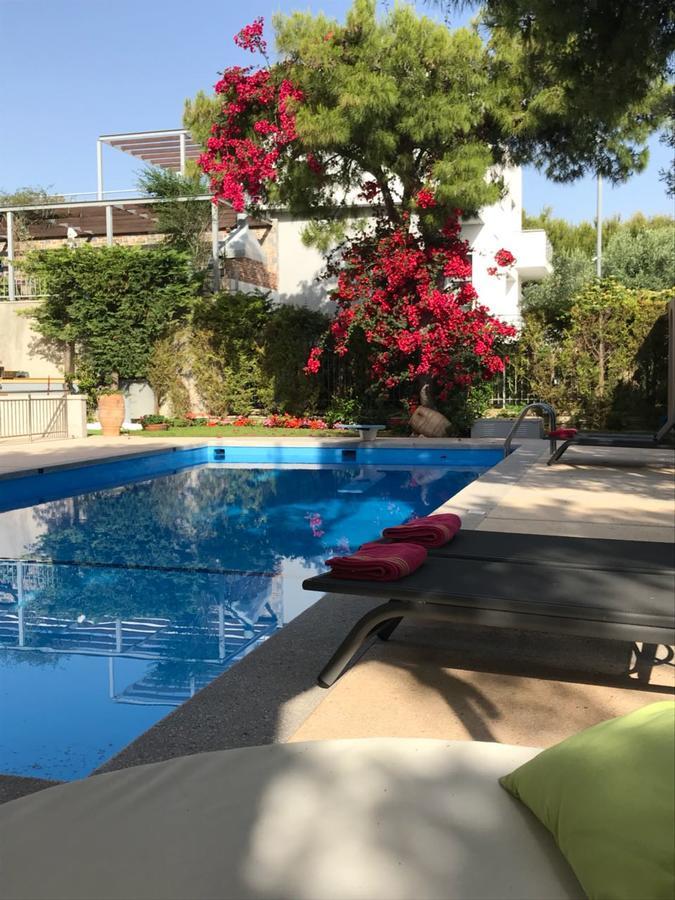 Villa Serenity Pórto Ráfti Buitenkant foto